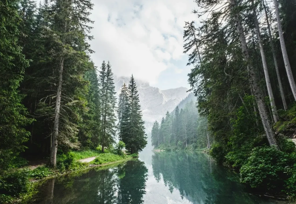 Accelerate Environmental