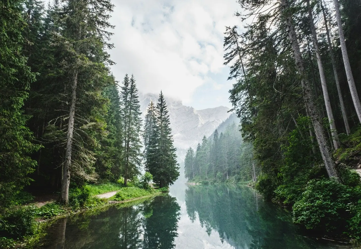 Accelerate Environmental