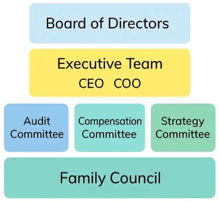 Professional governance structures are key to family business success
